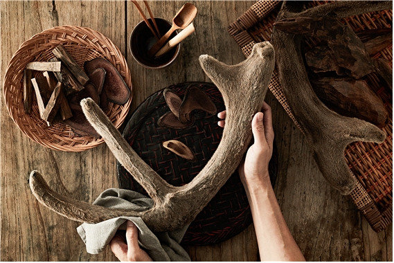 조선비책 조선황림, 초고함량 침향환 리뉴얼 출시