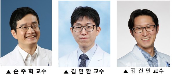 (왼쪽부터)연세암병원종양내과손주혁‧김민환‧김건민교수