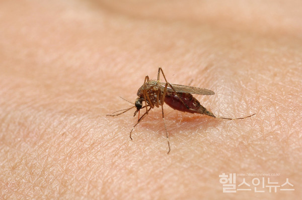 클립아트코리아