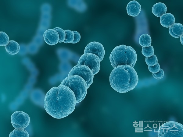 클립아트코리아