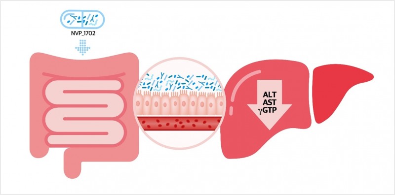 엔비피헬스케어 프로바이오틱스, 국내 최초 식약처 건강기능식품 개별인정 획득