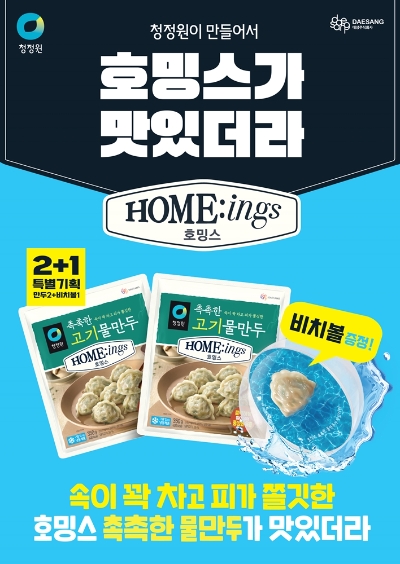 청정원 호밍스 물만두 비치볼 기획팩 포스터 / 이미지=대상 제공