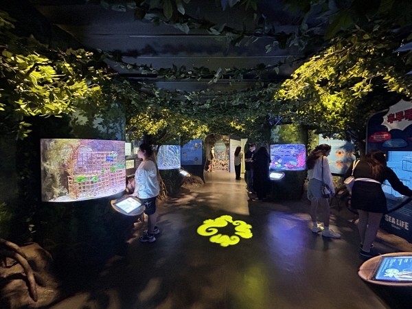 부산 아쿠아리움, '휴가철 앞두고 장마 걱정없는 실내에서 다양한 시설과 놀거리 즐기세요'