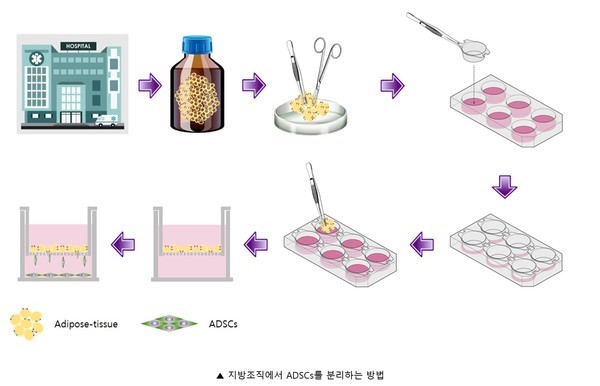 프롬바이오제공