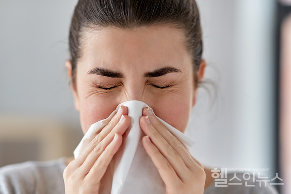 클립아트코리아