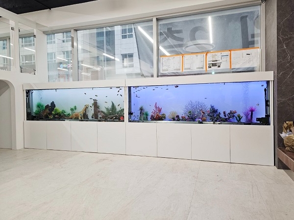 자동 청소 수족관을 개발한 ㈜벽조의호수, ‘2023 코리아빌드위크’ 참가