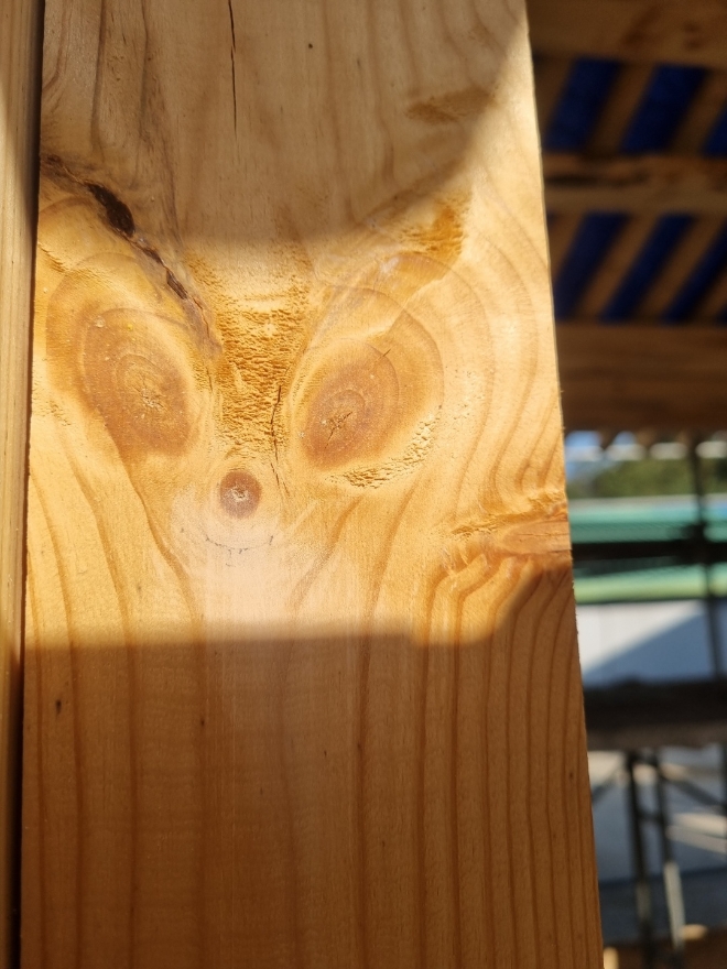 평창직업한옥학교 황토구들대목수 과정 44기 학생들이 소나무를 깍던중 지난 5월말 창선(창들 고정 부재)에 나타난 토종여우 문양이 옹이와 나무결로 나타났다.토종여우를 빼닮았다.(사진=김형운 기자)