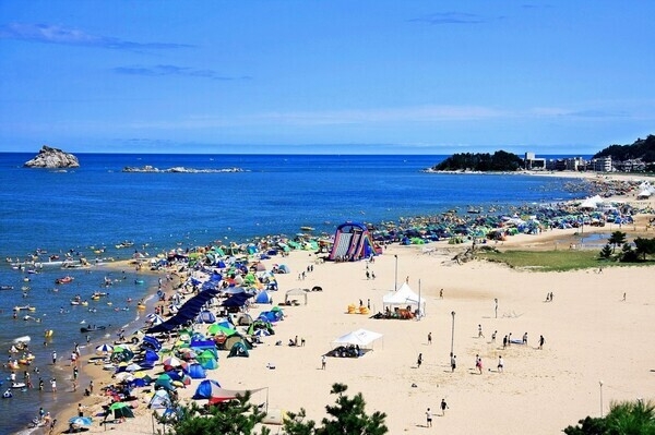 이미지=고성군 제공