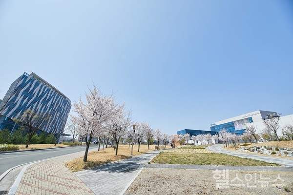 케이메디허브제공