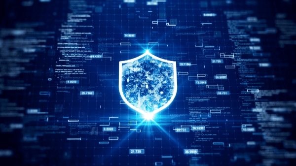 씨큐비스타, 차세대 보안 솔루션 '패킷사이버 v2.5' 출시