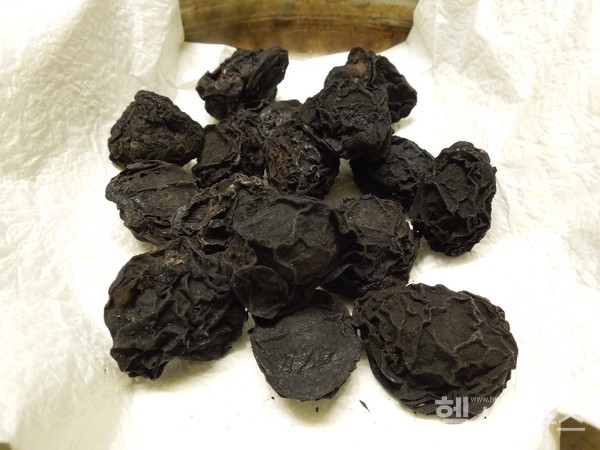 매실을그을려말린한약재'오매'(사진출처:위키백과)