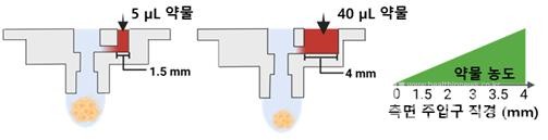 측면주입구의직경변경을통한최종약물농도조정