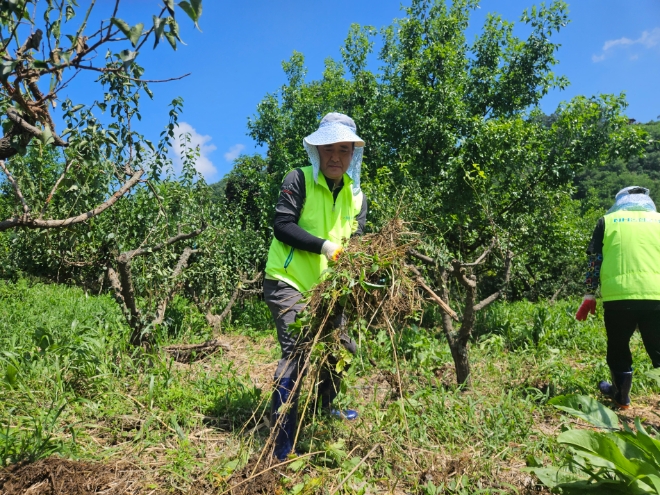 문상철 농협 상호금융디지털사업본부장이 수변정화작업을 실시하고 있다. / 사진=농협 제공