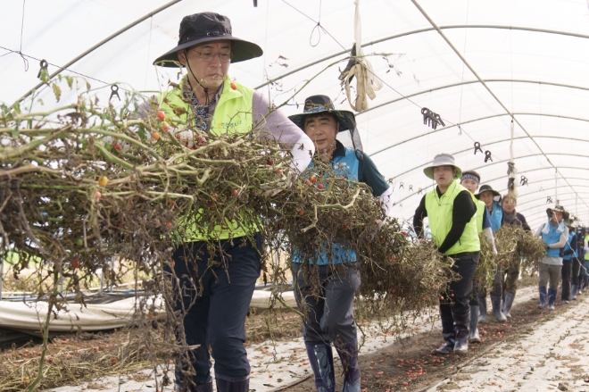 지난 28일 NH농협은행 이석용 은행장(왼쪽)과 경영기획부문 임직원 650여명은 충남 부여군 소재 농가를 찾아 수해 복구 작업에 구슬땀을 흘렸다. / 사진=NH농협은행 제공