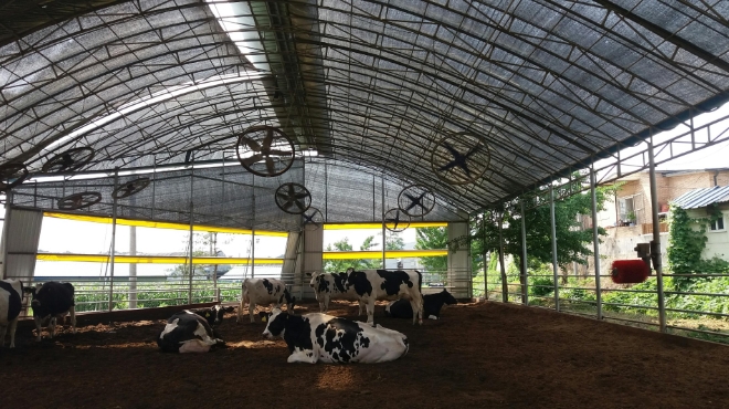 사진=경기도 제공