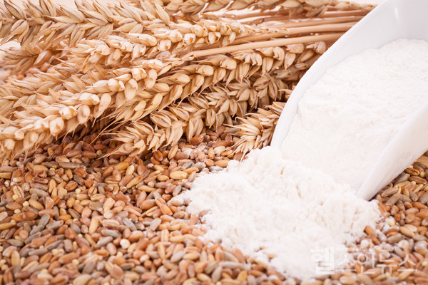 클립아트코리아