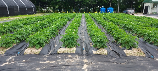 사진=경기도농업기술원 제공