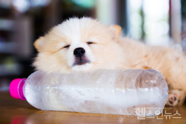 클립아트코리아