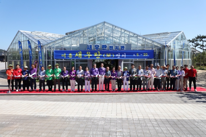 여름새우란전시 / 사진=신안군 제공