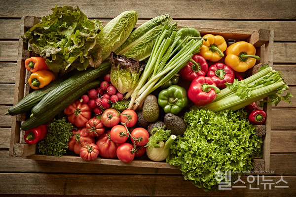 클립아트코리아