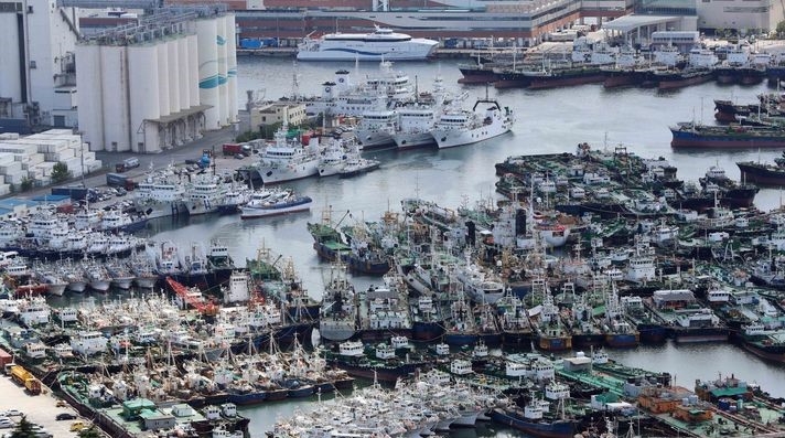 6호 태풍 '카눈'이 북상 중인 8일 부산 동구 부산항 5부두에 미리 대피한 선박들이 줄지어 정박하고 있다. 부산항은 이날 오후 8시까지 선박 피항을 완료한 뒤 항만 운영이 중단된다.