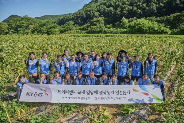 KT&G, 잎담배 수확 봉사활동…17년째 농가와 상생 실천