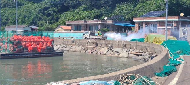 방역 소독 / 사진=보성군 제공