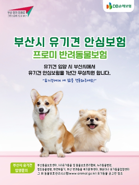 이미지=DB손해보험 제공