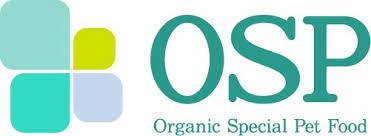 오에스피, 주가 급등…증권가 "신동력 확보 추진"