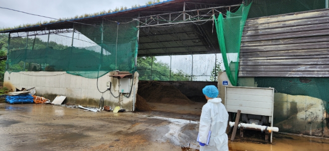 방역점검 / 사진=경기도 제공