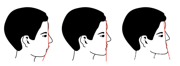 (왼쪽부터)볼록형얼굴,직선형얼굴,오목형얼굴