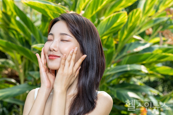 클립아트코리아