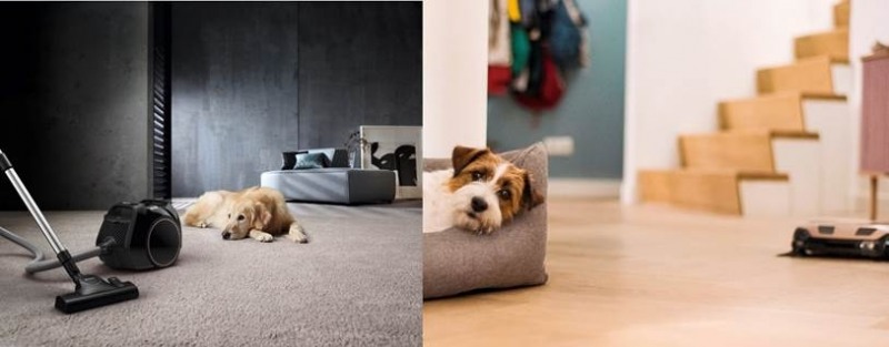 부스트 CX1 캣&도그(왼쪽), 로봇청소기 스카우트 RX3 홈 비전 HD