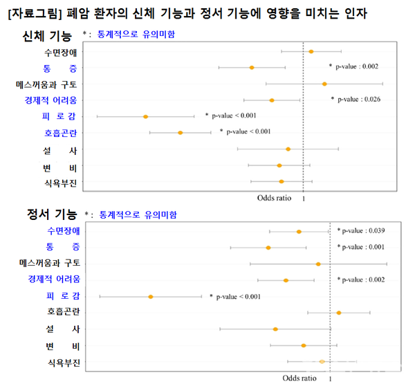 폐암환자의신체기능과정서기능에영향을미치는인자