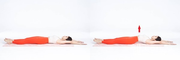 척추기립근스트레칭