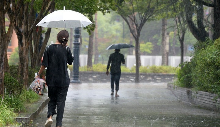 지난 24일 전북 전주시 전북대학교에서 학생들이 우산으로 비를 피하며 교정을 지나고 있는 모습.