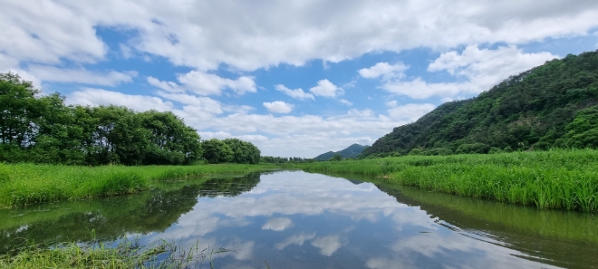 현대모비스가 지난 10년간 생태숲으로 조성한 충북 진천군 미르숲에 위치한 미호강 일대(사진)에서 멸종위기종을 복원하는 생물다양성 생태계 조성에 나선다. / 사진=현대모비스 제공