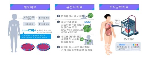 첨단재생의료개념(출처:보건복지부)