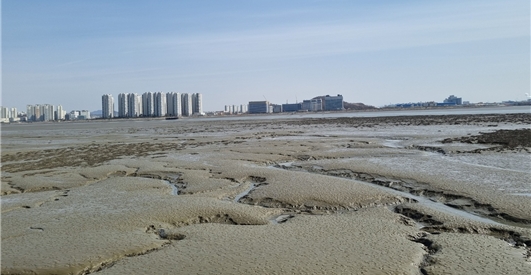 송도갯벌 / 사진=인천시 제공