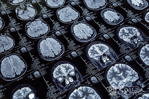 클립아트코리아