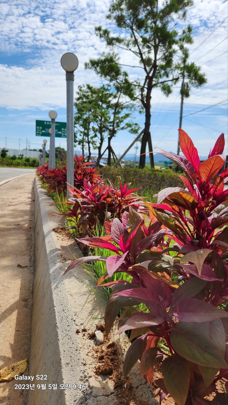 사진=무안군 제공