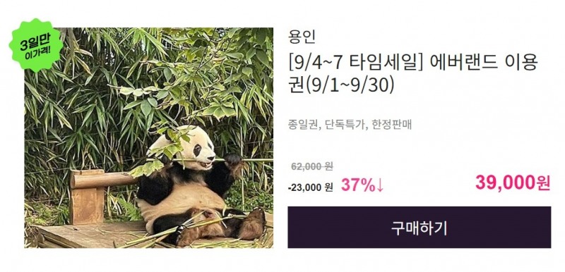 웹투어, 에버랜드 종일권 단독특가 200매 판매