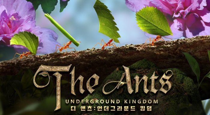 개미 전략 게임 '디 앤츠', 한국팬 위한 가을 이벤트 준비