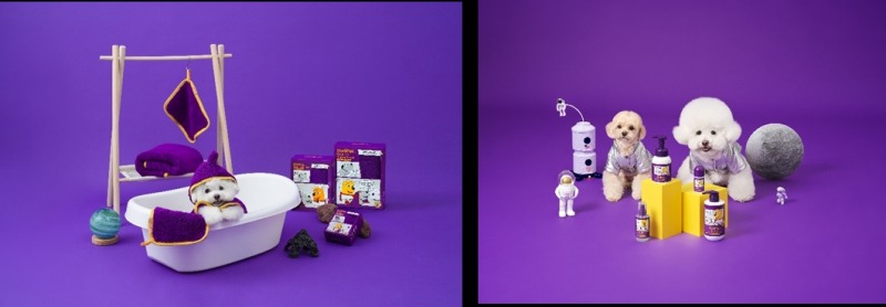 CNCO, 애견용품 전문 브랜드 '홀리펫' 런칭