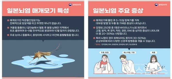 일본뇌염매개모기특성과일본뇌염주요증상(자료출처:질병관리청)