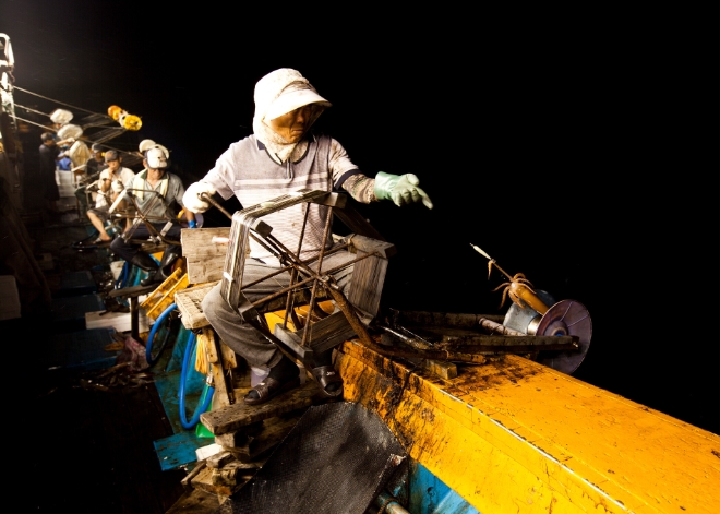 Sh수협은행(은행장 강신숙)은 근해채낚기 어업인 대상 긴급경영안정자금 신청기한을 오는 10월 13일로 변경한다고 7일 밝혔다. 사진은 오징어잡이 어업현장의 모습. / 사진=수협중앙회 제공