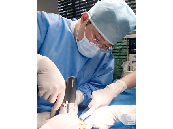 쎈텀동물병원소중한수의사