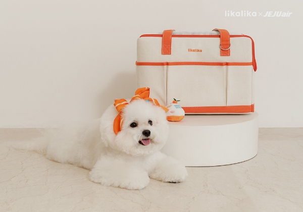 사진제공=오브젝티보