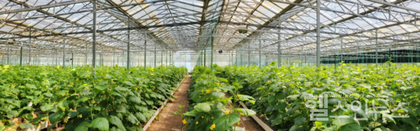 지더블유바이텍제공