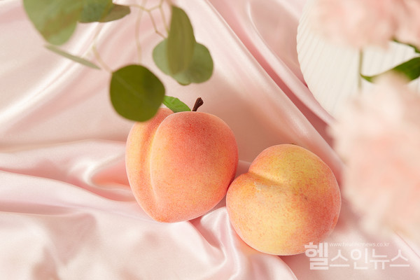 클립아트코리아